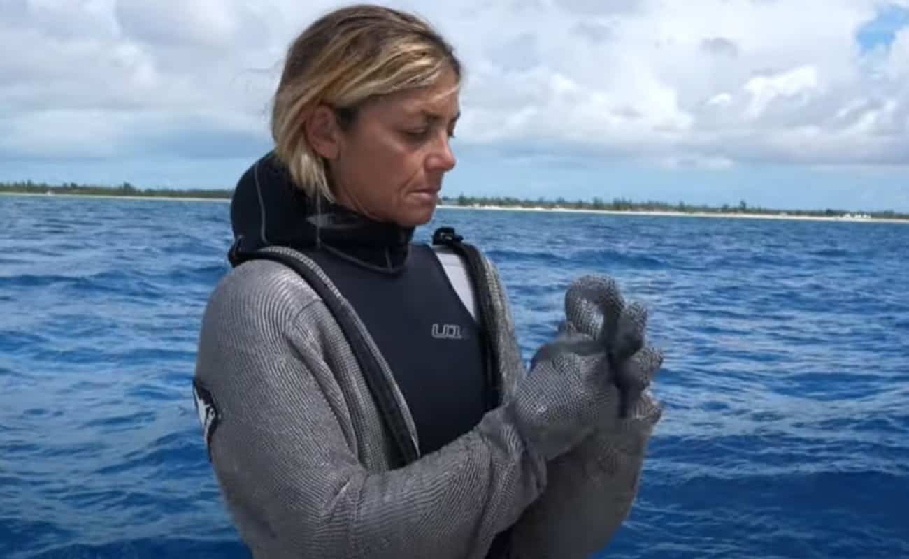 cristina-zenato:-la-“donna-degli-squali”-che-sfida-i-pregiudizi-e-protegge-il-mare